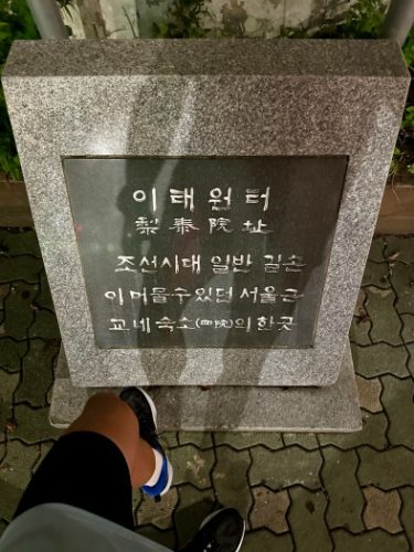 아식스 노바블라스트 5 photo review