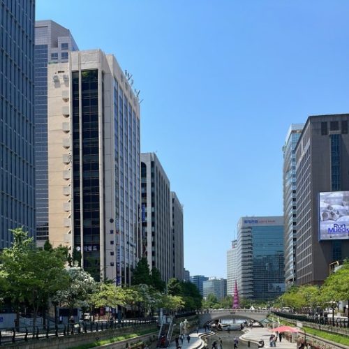 아식스 노바블라스트 5 photo review