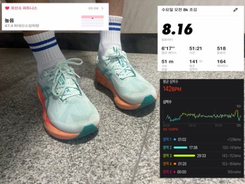아식스 노바블라스트 5 photo review