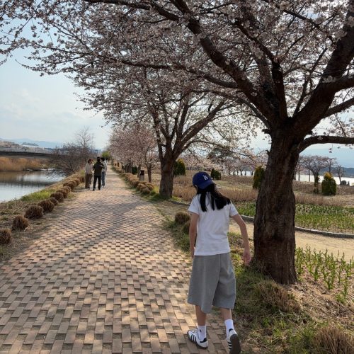 아디다스 삼바 OG photo review
