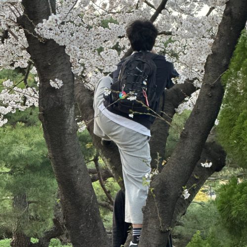 아디다스 삼바 OG photo review