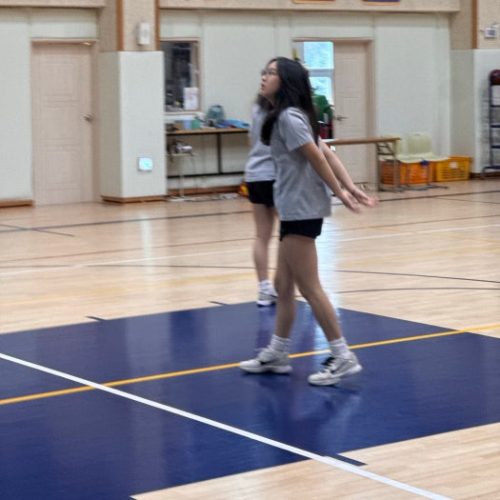 FQ3546-100 줌 코비 6 프로트로 '올스타' 2.0' photo review