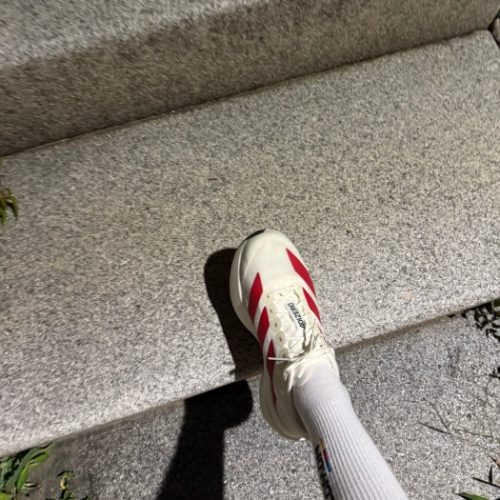 아디다스 아디제로 EVO SL 로드 런닝화 photo review