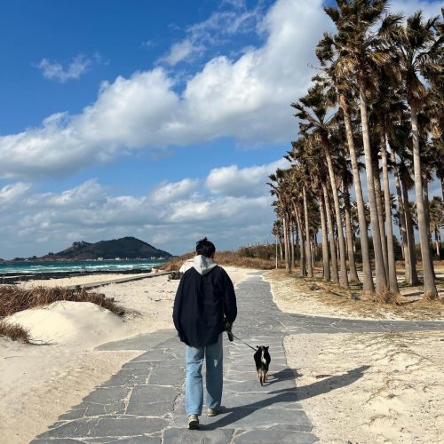 뉴발란스 990v3 메이드 인 Usa 그레이 photo review